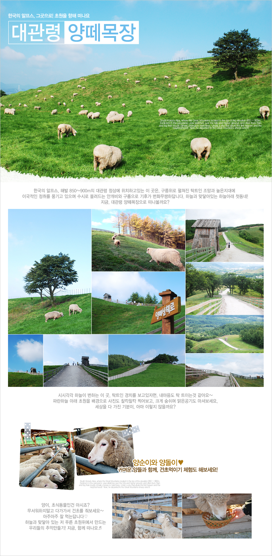 부산테마여행사