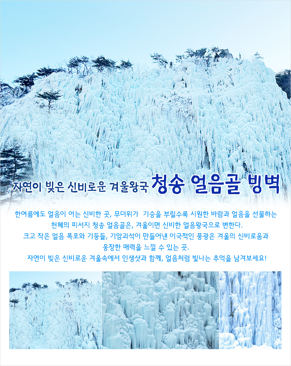 부산테마여행사
