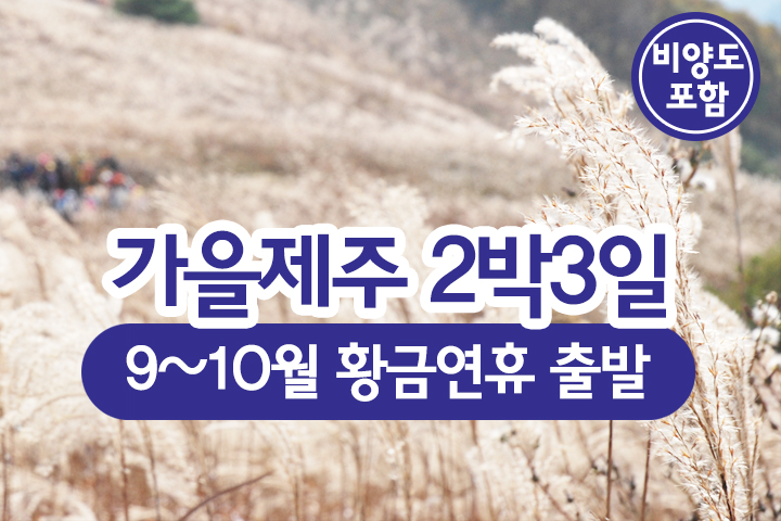 부산테마여행사
