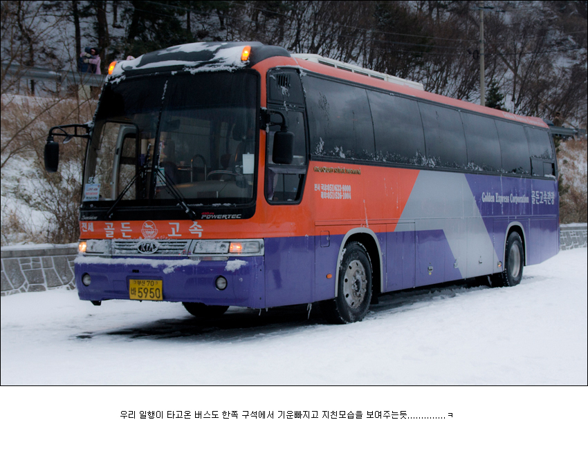부산여행사 부산테마여행사