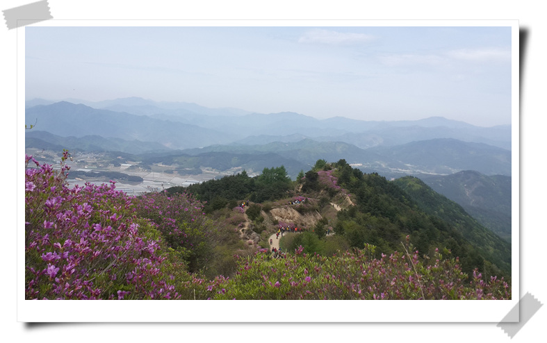 부산여행사 부산테마여행사