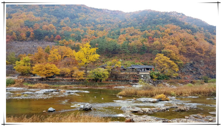 원본이미지(클릭)