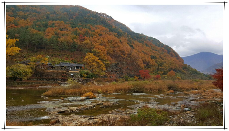 원본이미지(클릭)