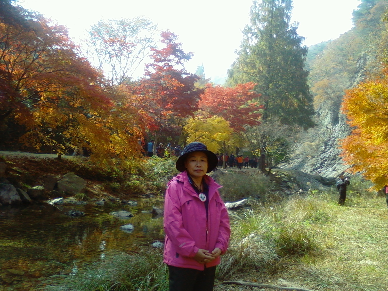 노란 색 붉은색 초록이 어울린 가을색