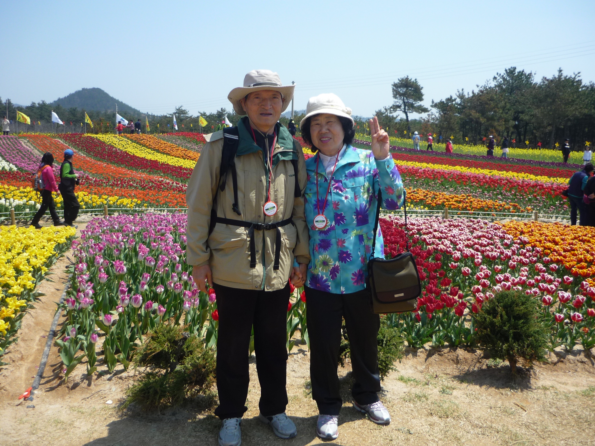 부산여행사 부산테마여행사