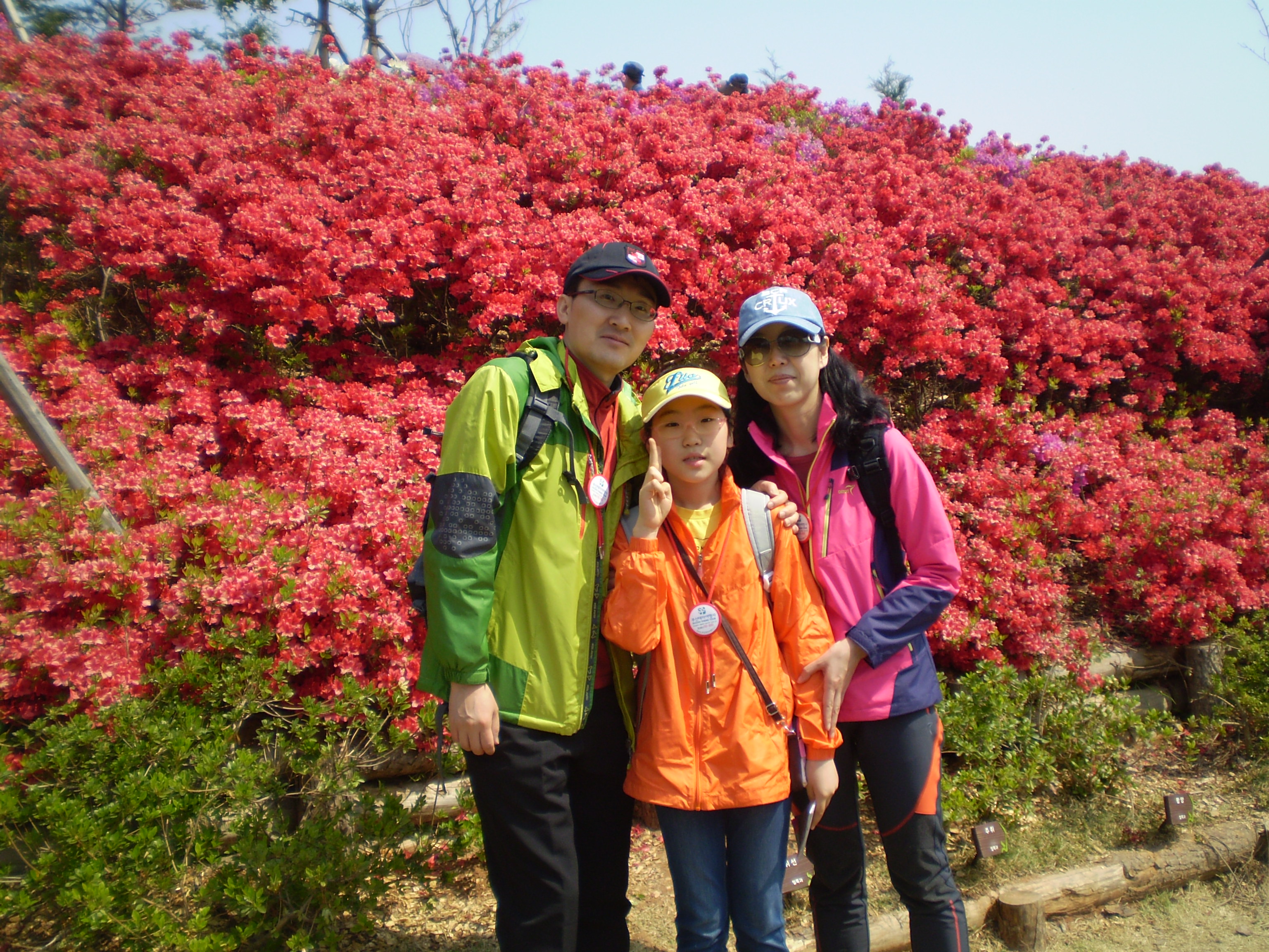 부산여행사 부산테마여행사