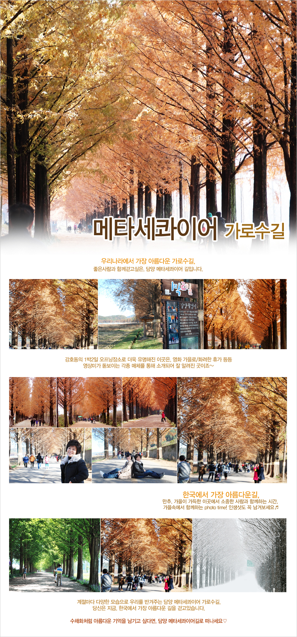 부산테마여행사