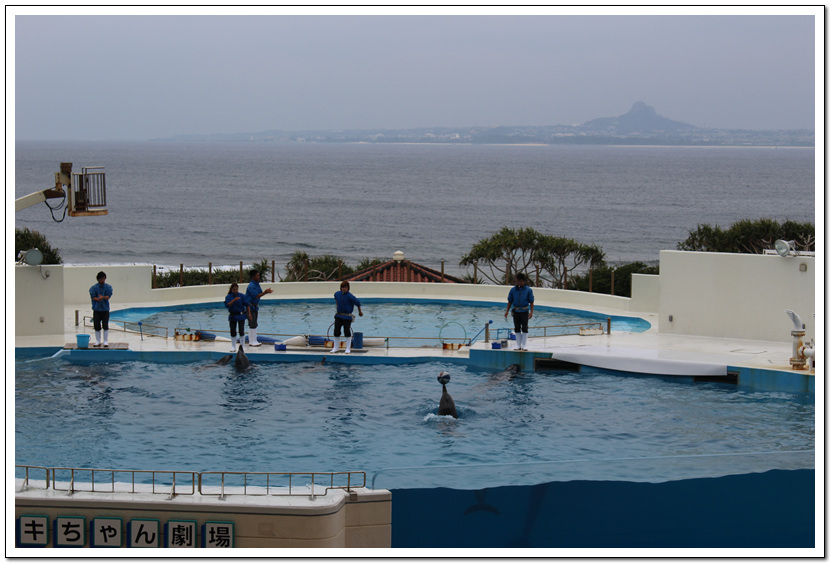 원본이미지(클릭)
